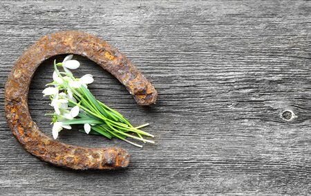 vintage rusted horseshoe on wall above doorの写真素材