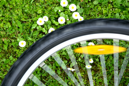 bicycle wheel on green meadow background with white daisiesの写真素材
