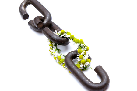 a chain is only as strong as its weakest link proverb one link made of flowersの写真素材