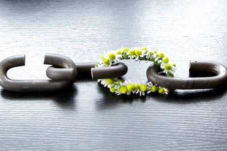 a chain is only as strong as its weakest link proverb one link made of flowersの写真素材