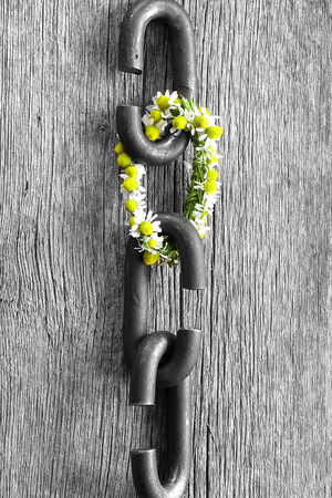 a chain is only as strong as its weakest link proverb one link made of flowersの写真素材