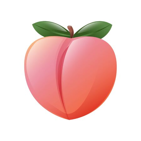 cartoon graphic pink peach isolated on white backgroundのイラスト素材