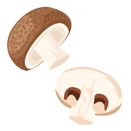 vector graphic champignon mushroom isolated on white backgroundのイラスト素材