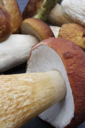 Boletus mushrooms prepared for cooking. Boletus on a black background. Boletus edulis. Closeupの写真素材