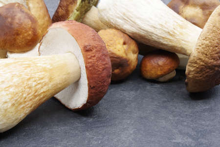 Boletus mushrooms prepared for cooking. Boletus on a black background. Boletus edulis. Closeupの写真素材