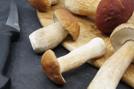Boletus mushrooms prepared for cooking. Boletuson on a wooden tray. Boletus edulis. Closeupの写真素材