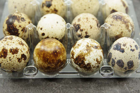 Quail eggs in a plastic box on a green background. Close-up viewの写真素材