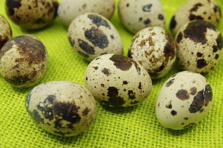 Quail eggs on a green cloth. Close-up viewの写真素材