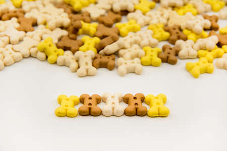 Dog treats. Bone shaped cookies for dogs. Multi colored bones of cookies isolated on a white background. Closeupの写真素材