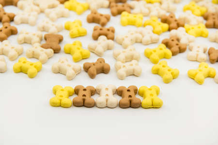 Dog treats. Bone shaped cookies for dogs. Multi colored bones of cookies isolated on a white background. Closeupの写真素材