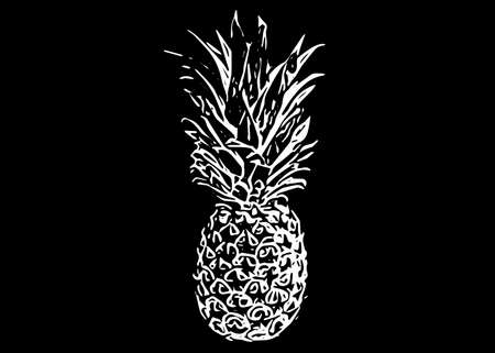 Beautiful pineapple illustration on white on a black background.の写真素材