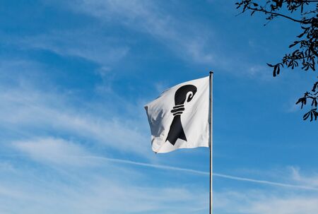 City flag of Basel, Switzerland