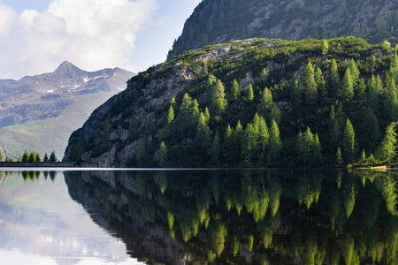 Various Trees are reflected on a lake.の写真素材