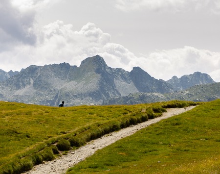 A hiker is seen at the end of a path in the mountains.の写真素材