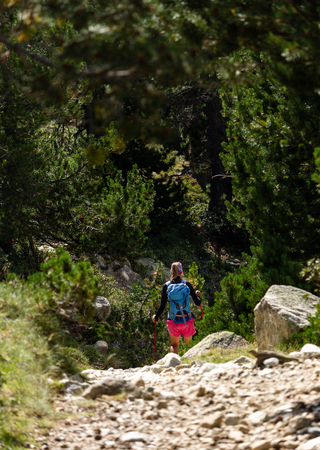 A female hiker walks along a path in the forest.の写真素材