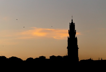 A silhouette of the Clerigos Tower in Porto, with various seagulls flying by.の写真素材