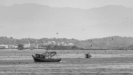 Rio de Janeiro, Brazil - CIRCA 2021: Fishing boat surrounded by seabirds during the day in Guanabara Bay, Rio de Janeiro, Southeastern Brazilのeditorial素材