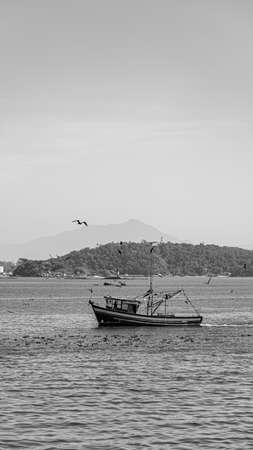 Rio de Janeiro, Brazil - CIRCA 2021: Fishing boat surrounded by seabirds during the day in Guanabara Bay, Rio de Janeiro, Southeastern Brazilのeditorial素材