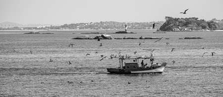 Rio de Janeiro, Brazil - CIRCA 2021: Fishing boat surrounded by seabirds during the day in Guanabara Bay, Rio de Janeiro, Southeastern Brazilのeditorial素材
