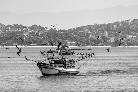 Rio de Janeiro, Brazil - CIRCA 2021: Fishing boat surrounded by seabirds during the day in Guanabara Bay, Rio de Janeiro, Southeastern Brazilのeditorial素材