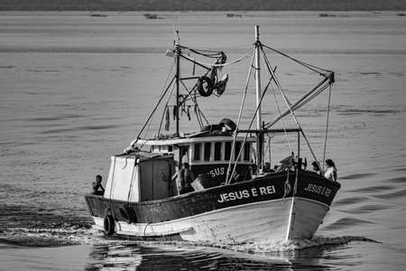 Rio de Janeiro, Brazil - CIRCA 2021: Fishing boat surrounded by seabirds during the day in Guanabara Bay, Rio de Janeiro, Southeastern Brazilのeditorial素材