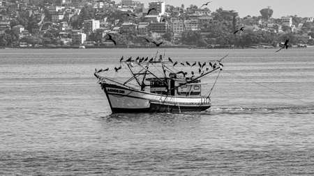 Rio de Janeiro, Brazil - CIRCA 2021: Fishing boat surrounded by seabirds during the day in Guanabara Bay, Rio de Janeiro, Southeastern Brazilのeditorial素材