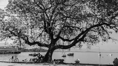 Paqueta Island, Rio de Janeiro, Brazil - CIRCA 2021: Typical urban setting, from the daily life of the neighborhood, recorded in PaquetÃ¡のeditorial素材