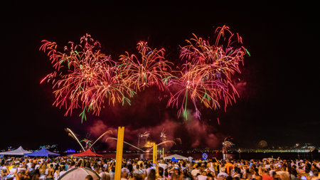 Night image with New Year's Eve (New Year's Eve) fireworks exploding in the sky