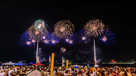 Night image with New Year's Eve (New Year's Eve) fireworks exploding in the sky