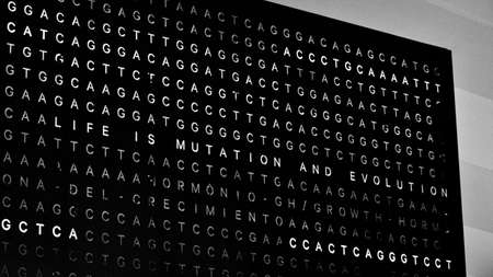 Rio de Janeiro, Brazil - CIRCA 2021: Inner part of the Museum of Tomorrow, in PraÃ§a MauÃ¡, in...