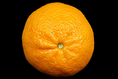 A tangerine on a dark backgroundの写真素材