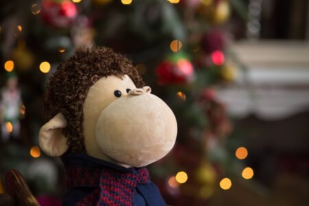 the toy monkey in the Christmas decorationsの写真素材