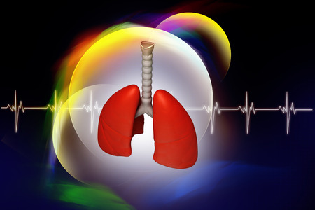 Digital illustration of lungs in coloured backgroundの写真素材