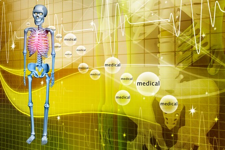 Digital illustration of a Skelton in colour backgroundの写真素材