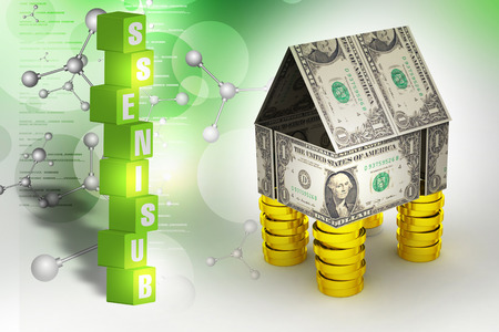 Home made by currency and coinsの写真素材