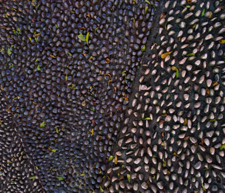 photo of the floor in the garden with a pattern of holesの写真素材