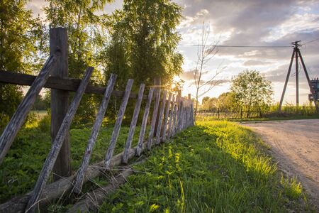 Fence at summerの写真素材