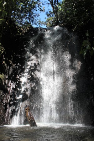 Looking up at waterfall in shaded Costa Rica Rainforest canopyの写真素材