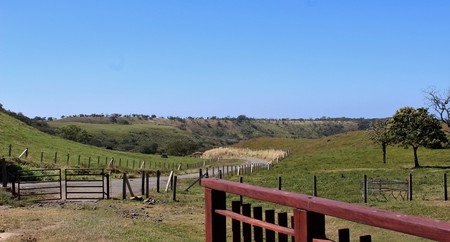 Landscape view of rolling hills in Costa Ricaの写真素材