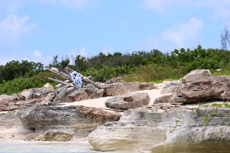 Rocky Shoreline of Malcolm Beach on Turks and Caicosの写真素材