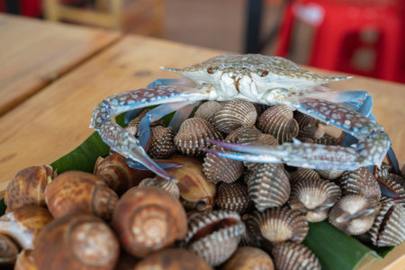 Wood plate with seafood cockle and babylon snails ready to cook or grillの写真素材