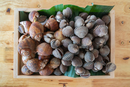 Wood plate with seafood cockle and babylon snails ready to cook or grill