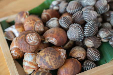 Wood plate with seafood cockle and babylon snails ready to cook or grillの写真素材