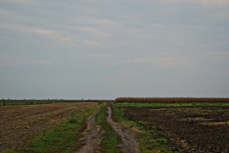 A dirt path in the countrysideの写真素材
