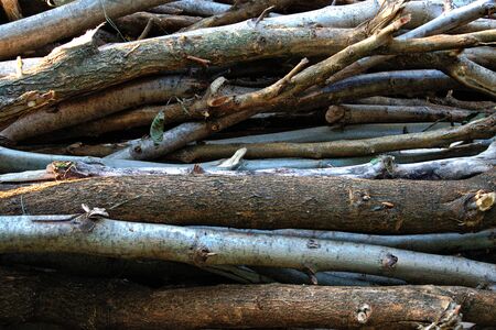 A closeup of a pile of chopped wood for background/textureの写真素材