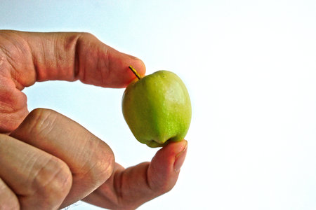Closeup of a male hand holding a tiny green apple on a white backgroundの写真素材