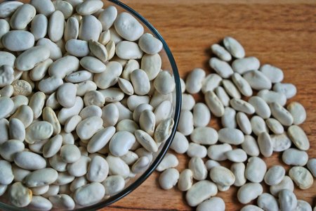 White beans in a bowl on a wooden tableの写真素材
