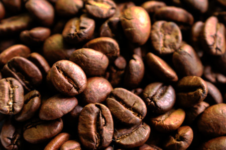 Closeup of coffee beans for background/textureの写真素材
