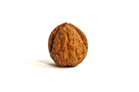 Whole walnut on a white background