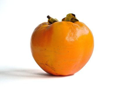 Closeup of a persimmon on a white backgroundの写真素材